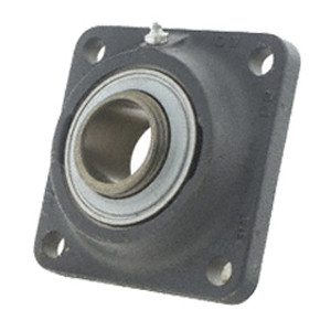  RCJ30-N  2018 Flange Block Bearings