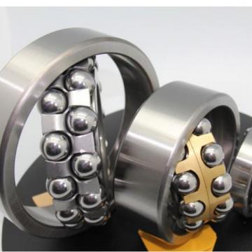 S2202 ZEN Self-Aligning Ball Bearings 10 Solutions