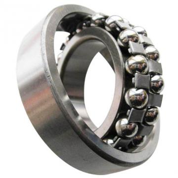 S2203 ZEN Self-Aligning Ball Bearings 10 Solutions