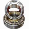 718/670 AMB  Top 10 Angular Contact Ball Bearings