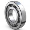  16002-A-2Z  2018 Single Row Ball Bearings #3 small image