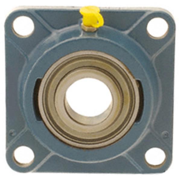  FY 1/2 RM  2018 Flange Block Bearings #1 image