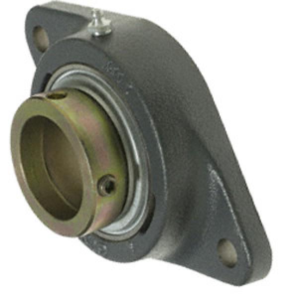  RCJTZ50  2018 Flange Block Bearings #1 image