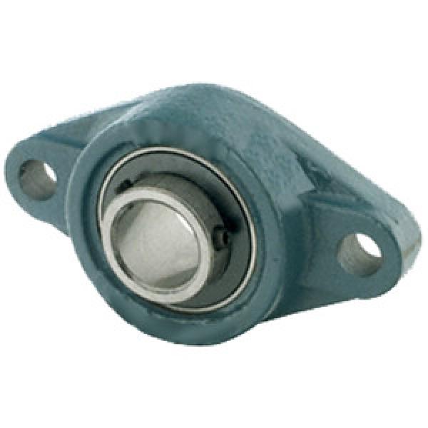  A-ASFD205-100D1  2018 Flange Block Bearings #1 image