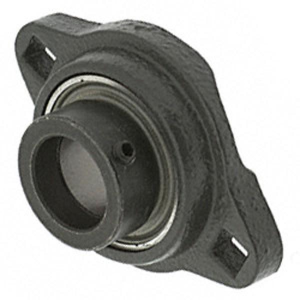  GRFTD1  2018 Flange Block Bearings #1 image