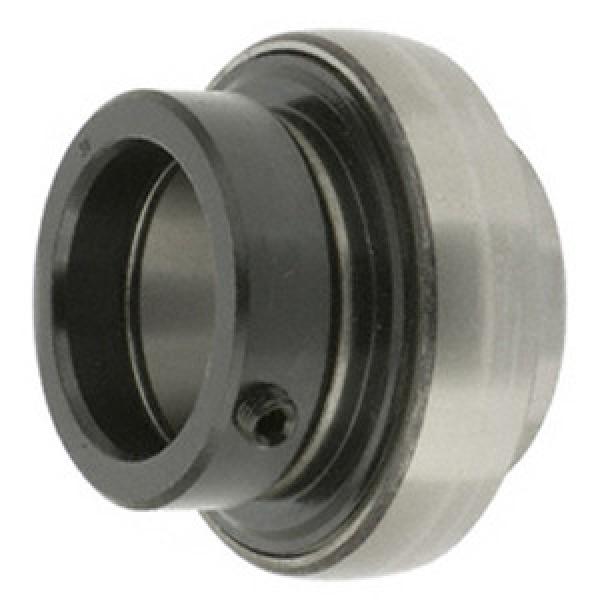  WPS013GRC  10 Solutions  Insert Bearings Spherical #1 image