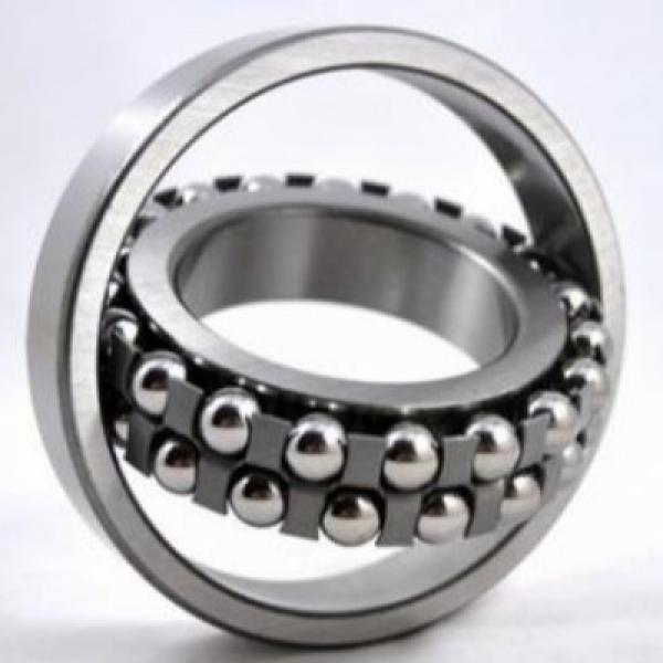 S1200-2RS ZEN Self-Aligning Ball Bearings 10 Solutions #3 image