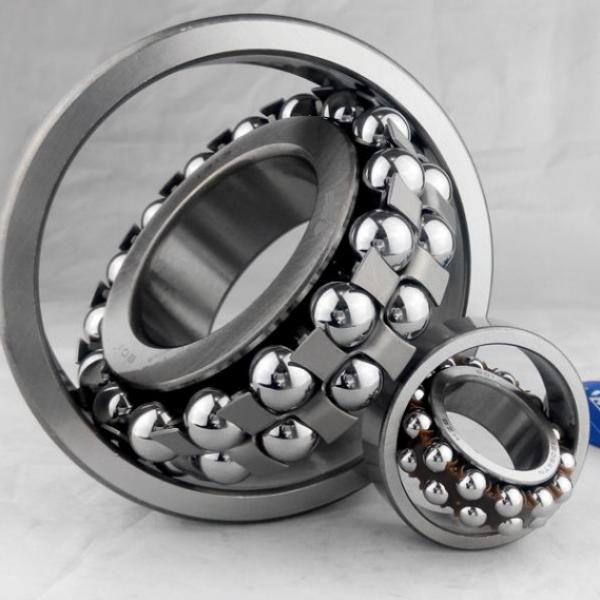 S1200-2RS ZEN Self-Aligning Ball Bearings 10 Solutions #4 image