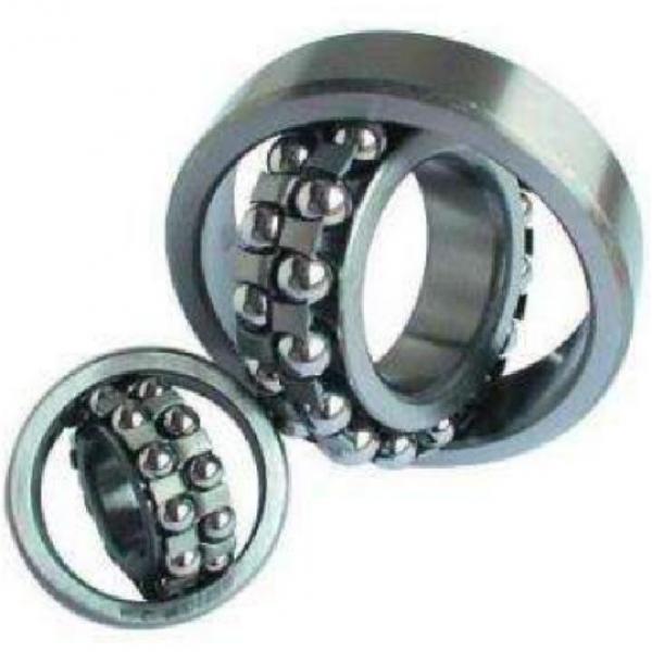 S1201 ZEN Self-Aligning Ball Bearings 10 Solutions #5 image