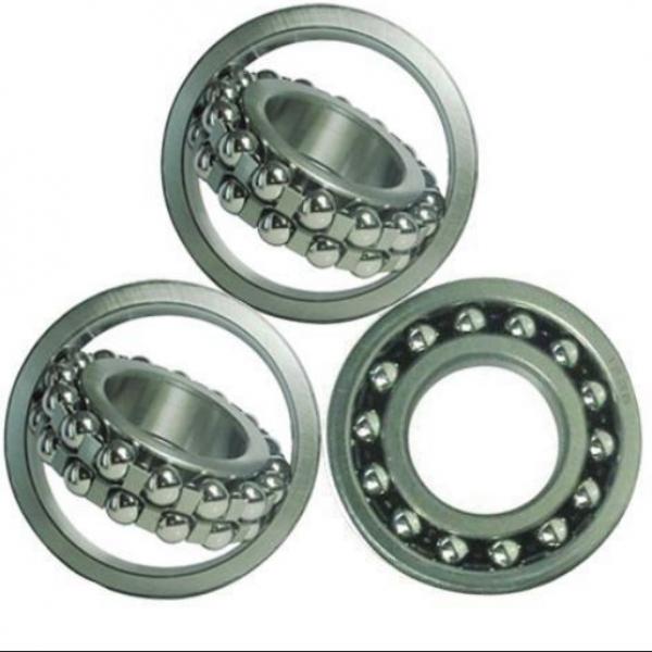 S1206-2RS ZEN Self-Aligning Ball Bearings 10 Solutions #2 image