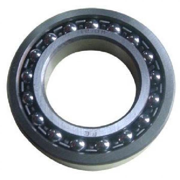 S1201 ZEN Self-Aligning Ball Bearings 10 Solutions #2 image